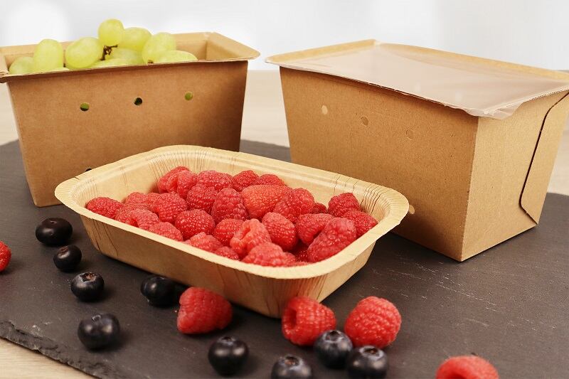 Paper-based punnets deliver ‘breakthrough in packaging sustainability’ claims manufacturer