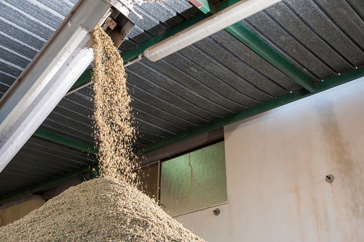 olive-oil-pomace-siculodoc.jpg