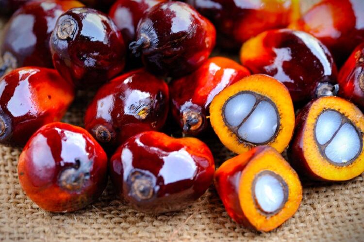 Redeeming-a-bad-reputation-Sustainable-palm-oil-is-the-best-oil-we-have.jpg
