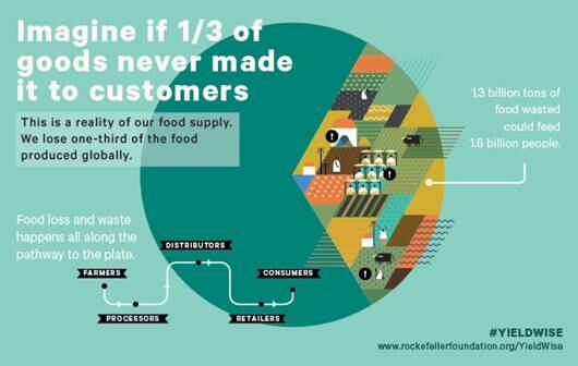 Food-waste-takes-place-from-farm-to-fork.jpg