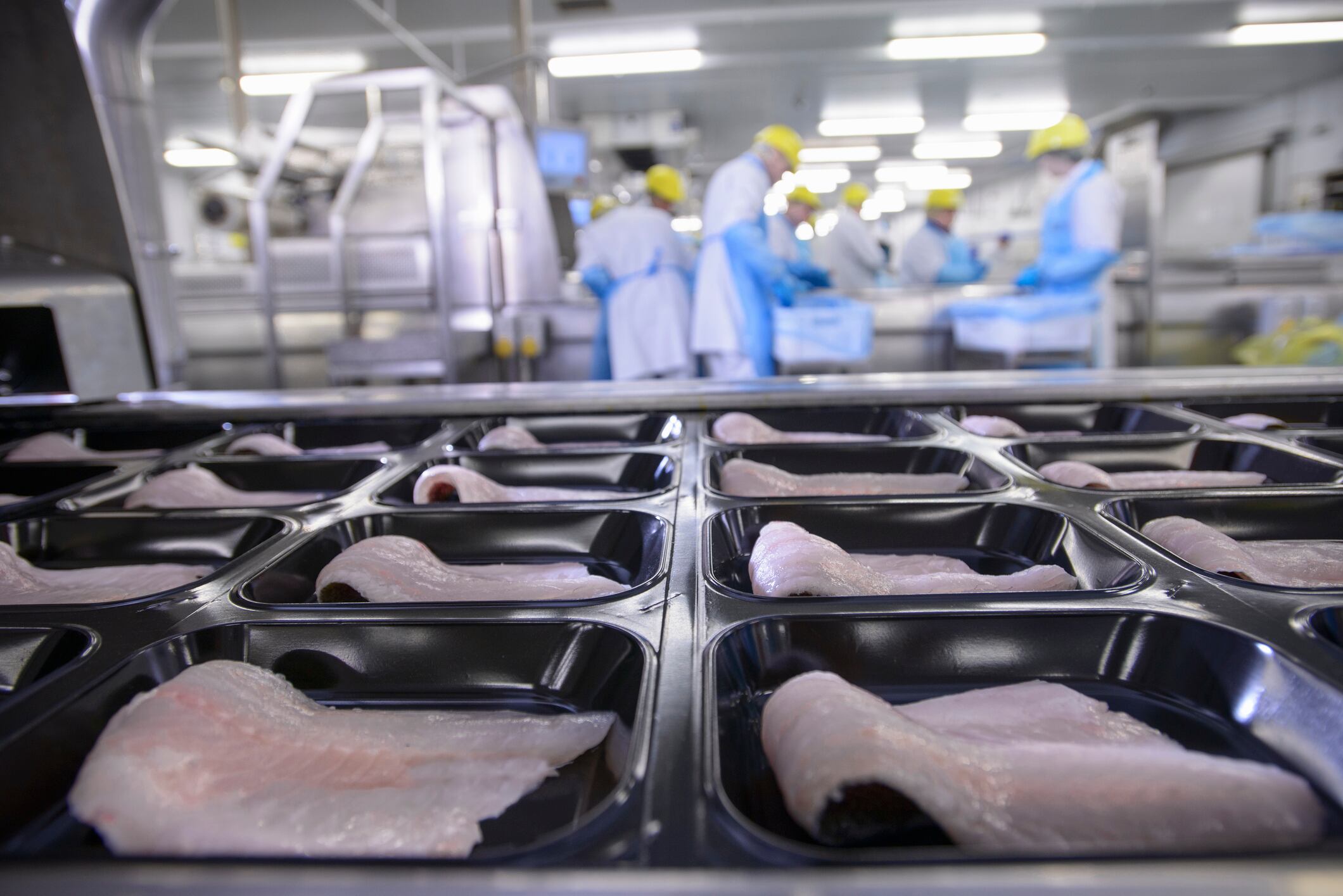 As cultivated meat companies shift from standalone innovation to integrated platforms, partnerships and acquisitions are becoming a key growth strategy.