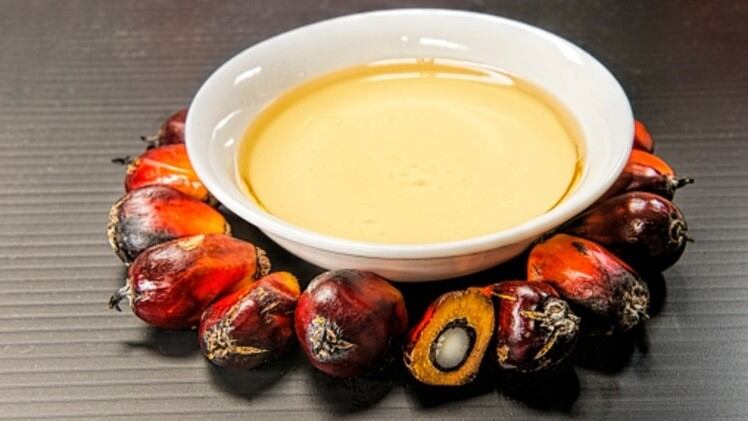 Keep your exports close: Why palm oil sector should not neglect ASEAN as it seeks to diversify exports