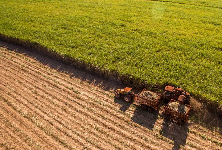 sugar-cane-harvest-in-brazil-Mailson-Pignata.jpg