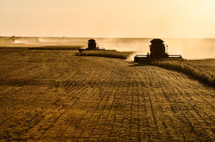 Cargill looks to address land use changes in South America