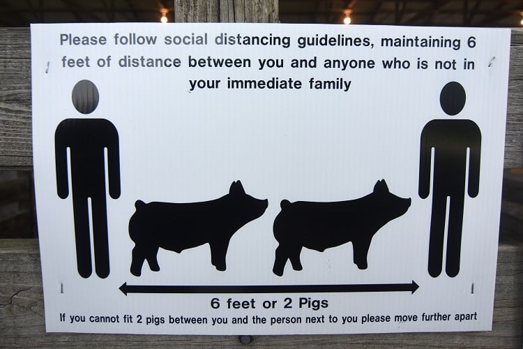 Food and pandemics: Is intensive animal farming the ‘single most risky human behaviour’?