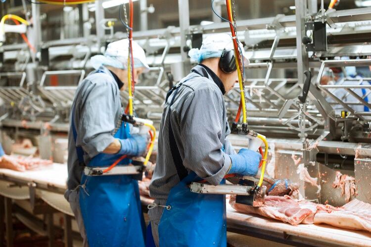 Danish slaughterhouse monitoring tool unveiled