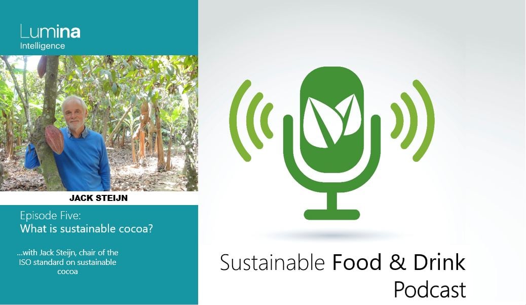 Sustainable cocoa defined: What will be the impact of the ISO standard?
