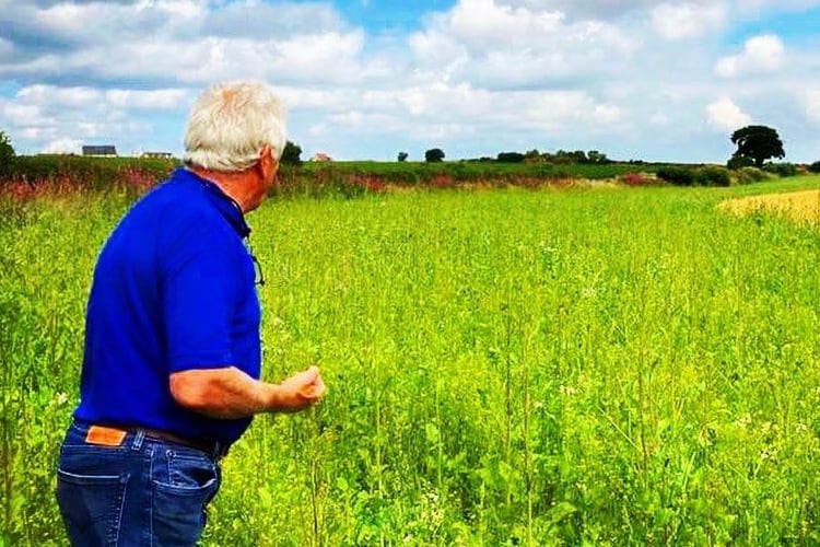 How PepsiCo is supporting a regenerative transition for Quaker Oats