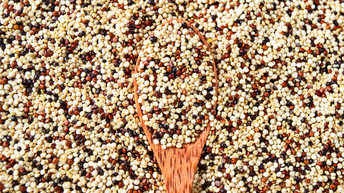 Sorghum in focus: ‘The goal is to increase the use of sorghum in the US food supply,’ says Sorghum Checkoff