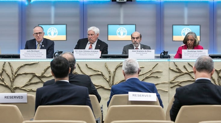 FAOGiulio-Napolitano-1.jpg