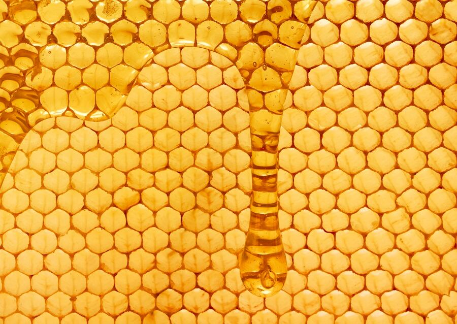 Sweet-trends-in-honey-at-the-Summer-Fancy-Food-Show.jpg