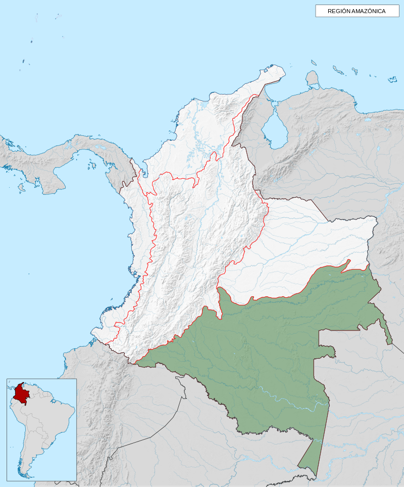 Mapa_de_Colombia_-region_Amazonica.png