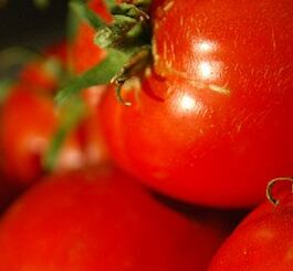 tomato.png