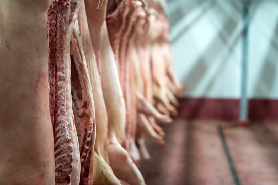 Germany boosts worker rights in meat sector: ‘We protect employees and end irresponsibility in parts of the meat industry’