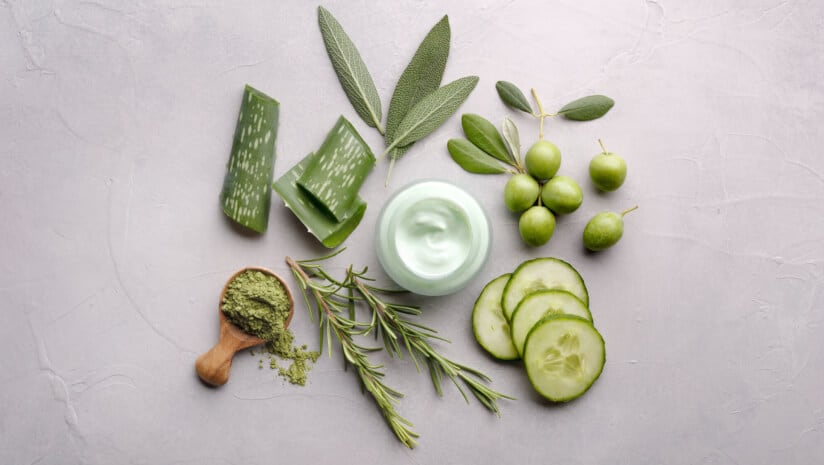 EU-wide ban on aloe vera preparations in food overturned