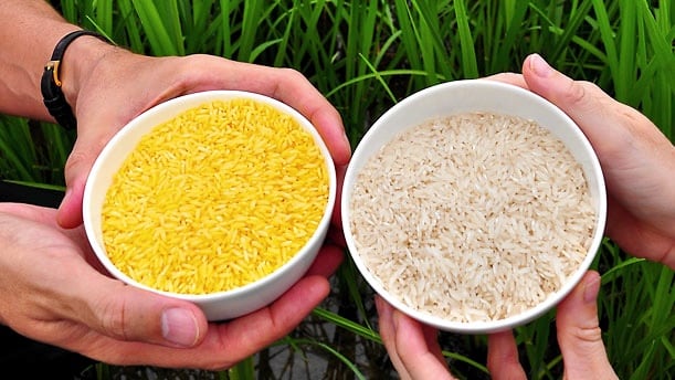 rice.jpg