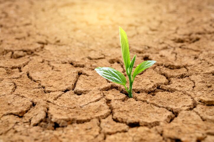 GettyImages-sarayut-desert-water-soil.jpg