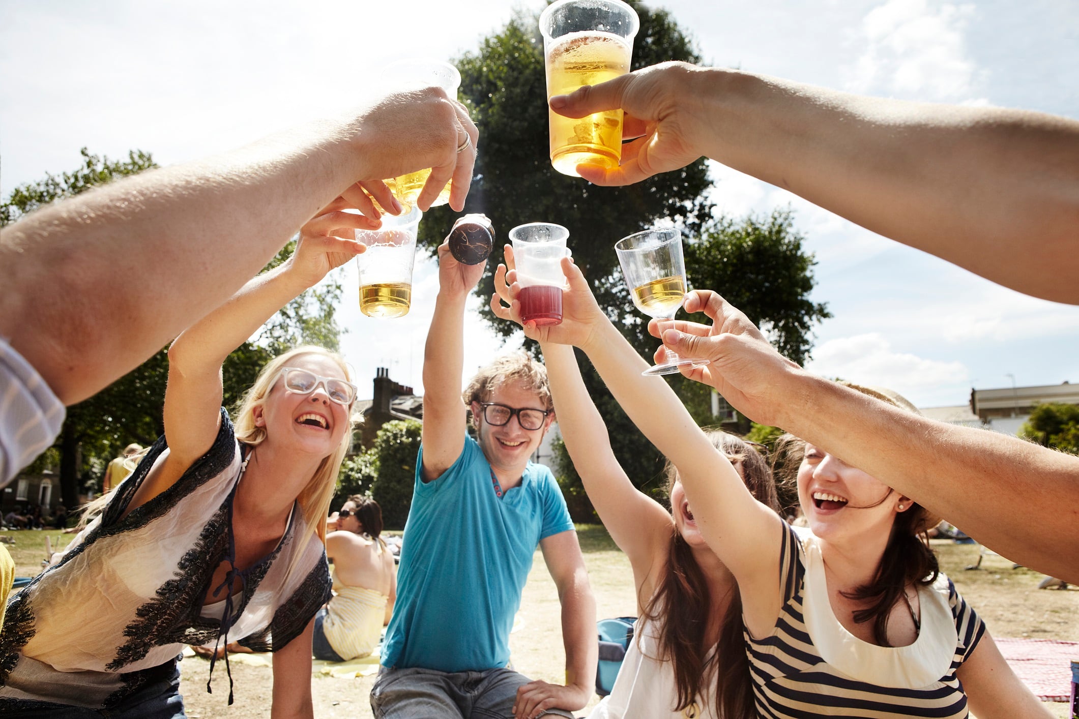 Friends raising a toast during a picnic in the park