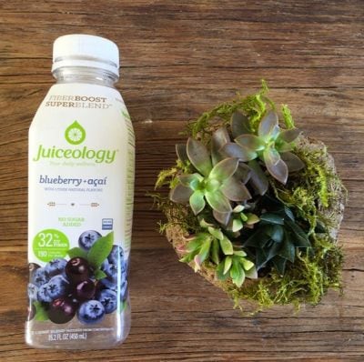 Juiceology-blueberry.jpg