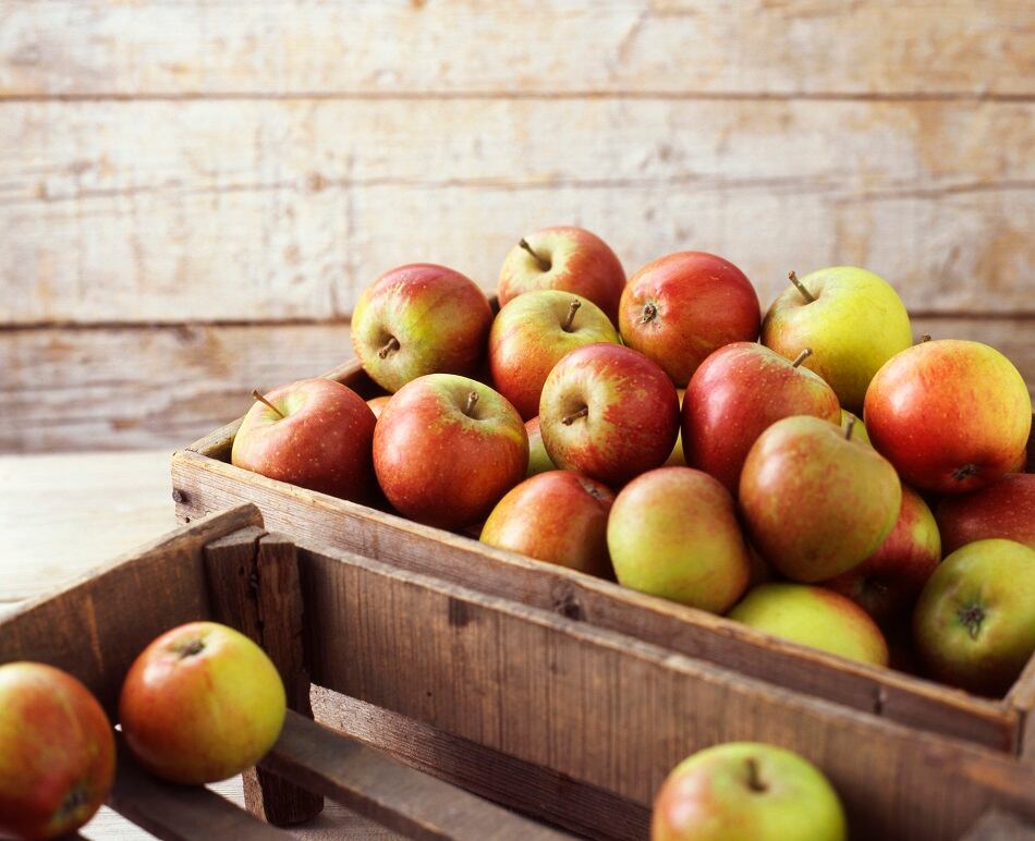 Study: Turning waste from apples into a compostable packaging solution