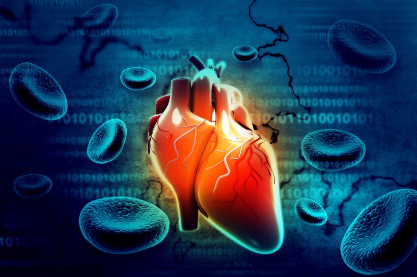 heart-cardiovascular-inflammation-iStock.com-HYWARDS.jpg