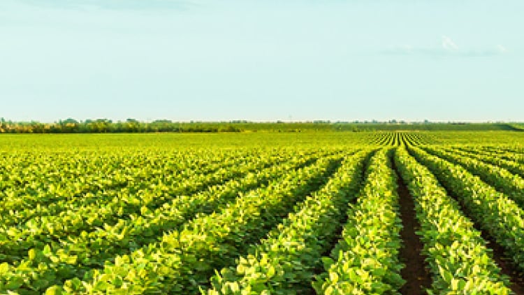 ADM Sustainability & Integrated Supply Chain