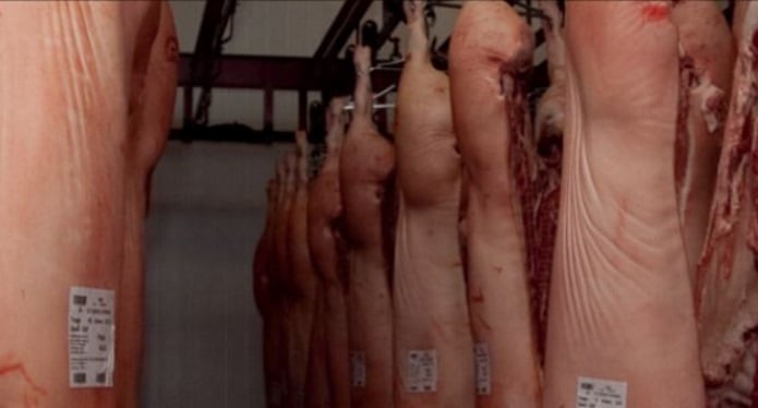 Argentina-suspends-two-pork-refrigerators.jpg