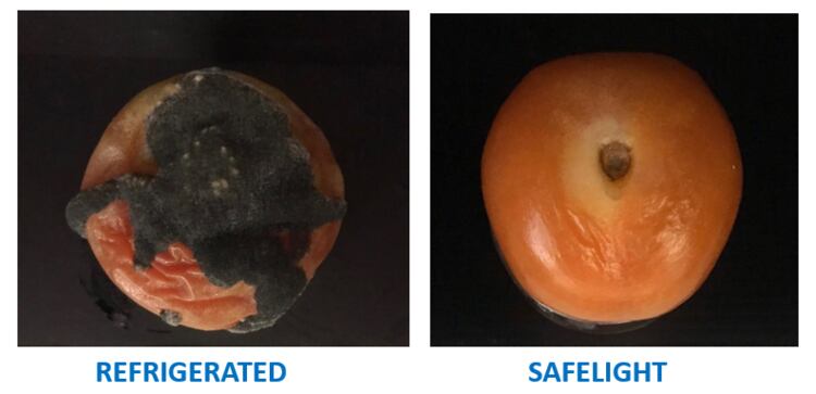 Light disruption: Singapore uni spin-off develops tech to disinfect and preserve food and surfaces