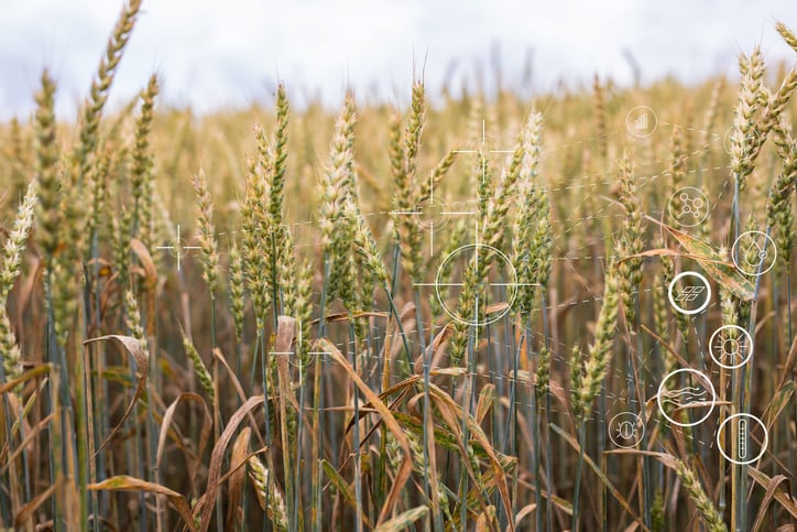 Young consumers ‘partial’ to gene-edited crops as EU seeks revised GMO rules