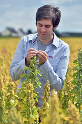 AF_139_Quinoa_Stephen_Jones_large.jpg