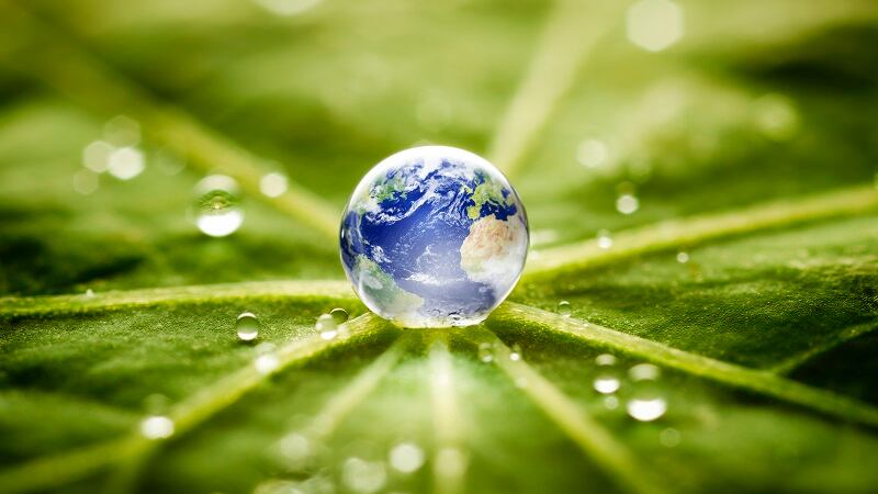 Will-margins-be-the-price-of-regenerative-ag-GoodSAM-CEO-shares-insights-ahead-of-COP28-session.jpg
