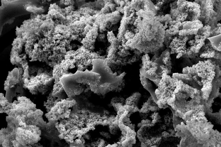 Tate & Lyle, Zymtronix team up on ‘revolutionary' enzyme immobilization technologies: ‘This will make our processes more efficient’
