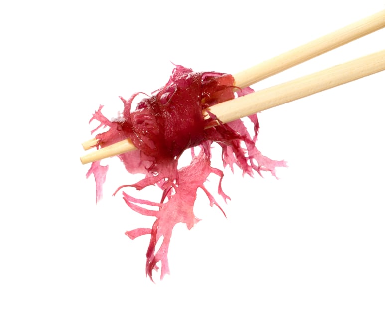 EC report sets out guidance to meet growing global seaweed demand 
