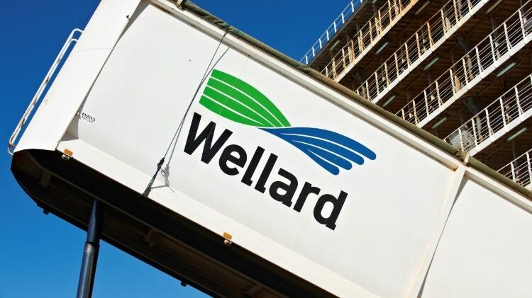 Wellard ‘heading in right direction’ towards profitability