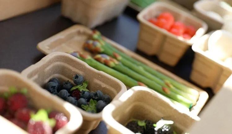If-you-re-using-paper-but-you-re-putting-a-plastic-liner-in-it-you-haven-t-really-solved-anything-Footprint-talks-sustainable-packaging.jpg