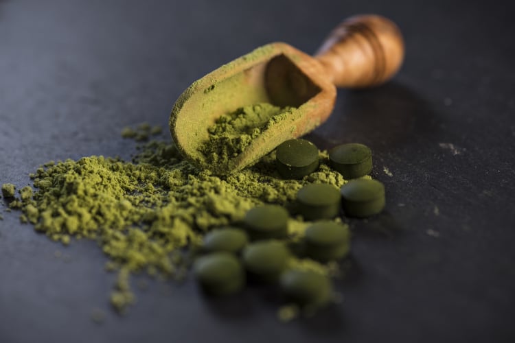 GettyImages-Rocky89-Chlorella-algae.png