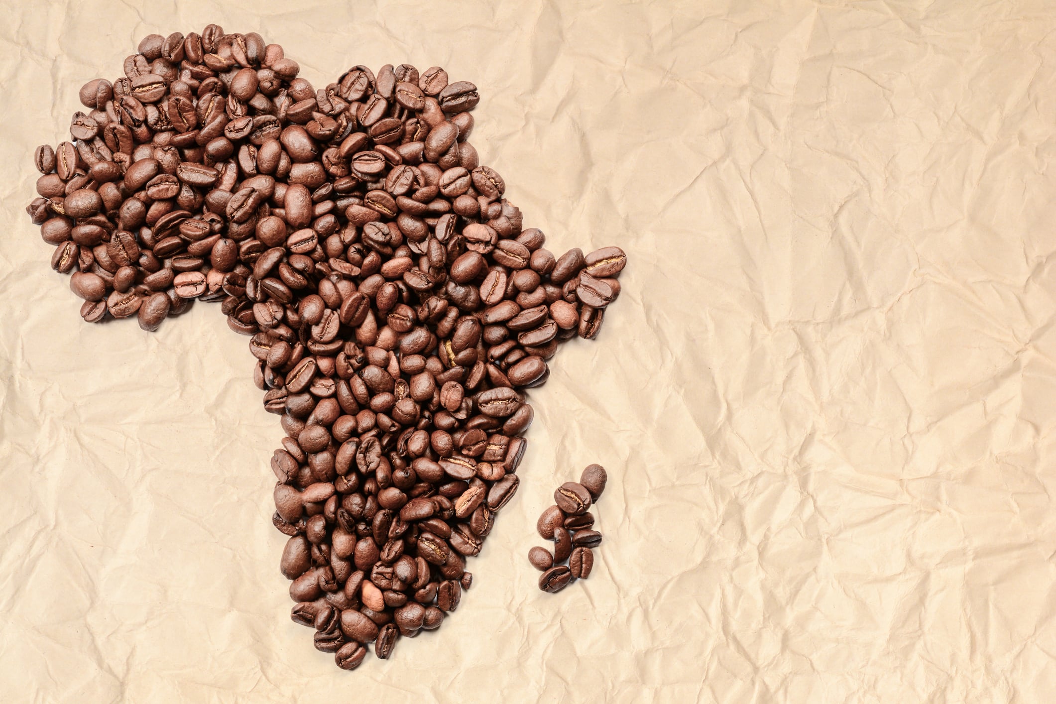 Whole bean coffee. The contour of the continent of Africa is made from coffee beans on old crumpled paper