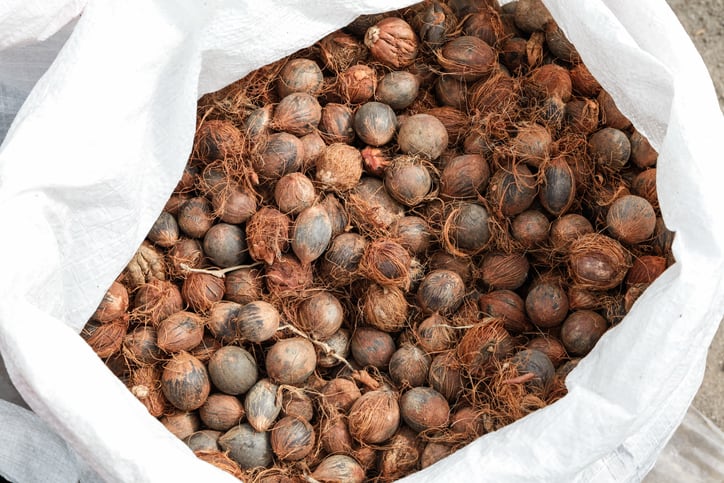 Native nuts: Scientists crack open Brazil's specialty fat toolbox