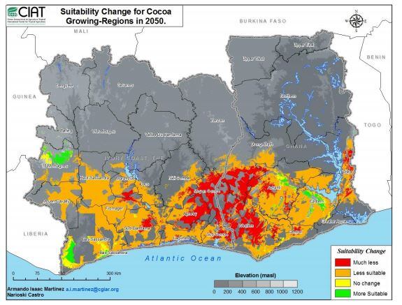 CIAT-cocoa-2050.jpg