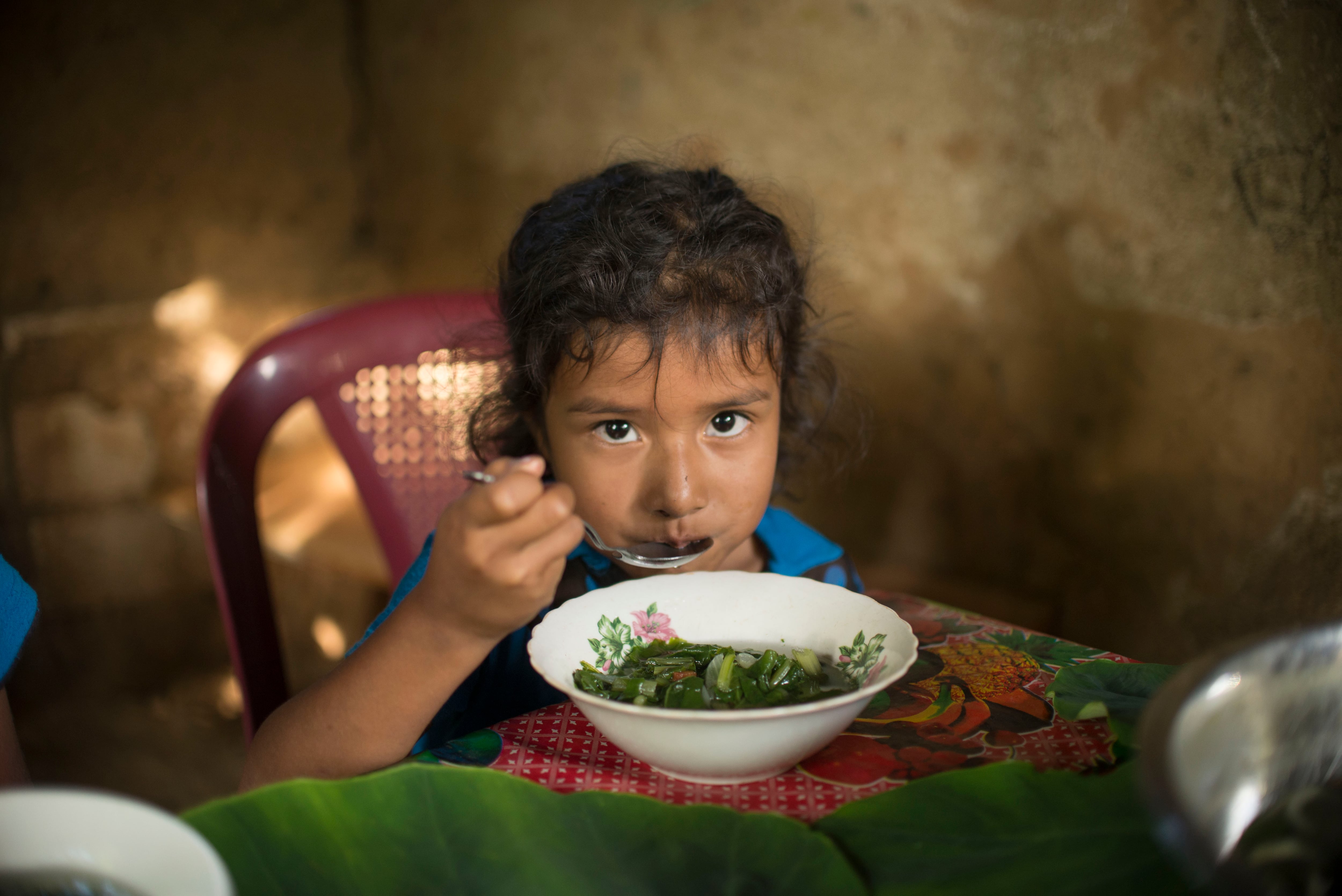 FAO-PAHO-UNICEF-WFP-nutrition-and-security-report-2018-LATAM-Caribbean.jpg