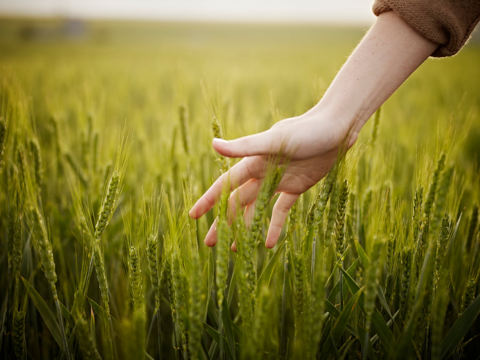 ‘Regenerative agriculture is alpha to your bottom line’