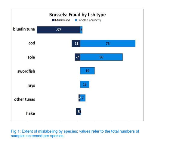 oceana-fish-Brussels.png
