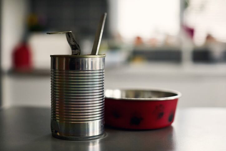 EFSA poised to slash daily exposure limits for bisphenol A as EU court confirms it as ‘substance of very high concern’
