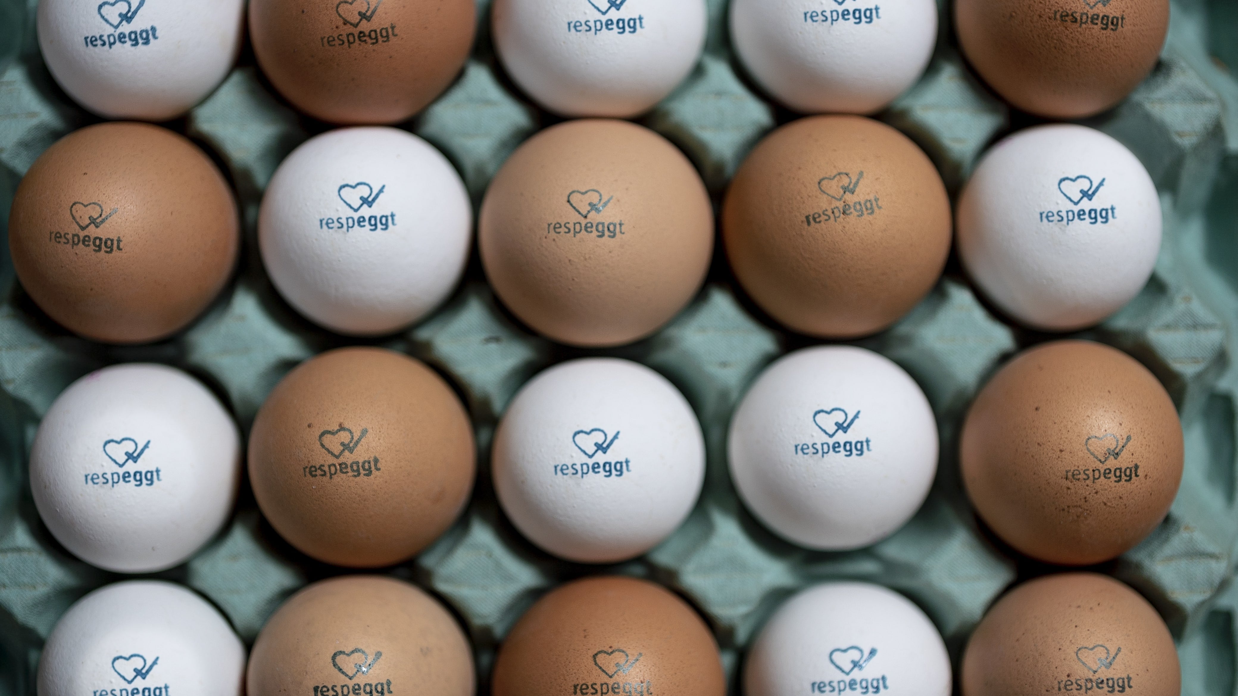 Start-up spots gap in market for ethical 'chick-culling free' eggs