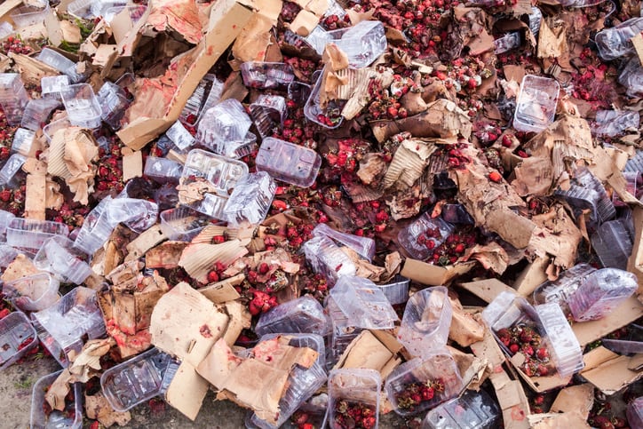 From food scraps to bioplastic: UK government calls for industry co-investment to meet £60m injection