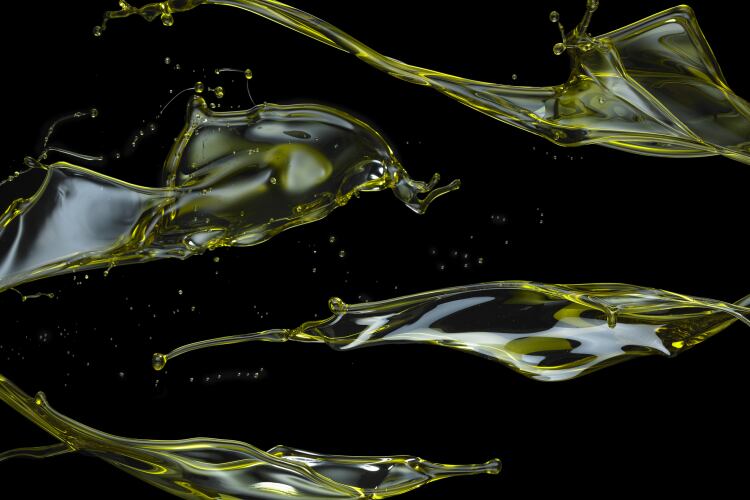Bunge and Olleco create 'full-lifecycle' oils business for sustainability and energy security