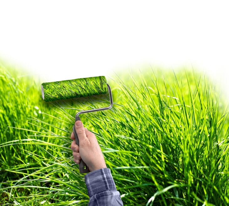 Bombaert-change-the-world-transform-istock.jpg