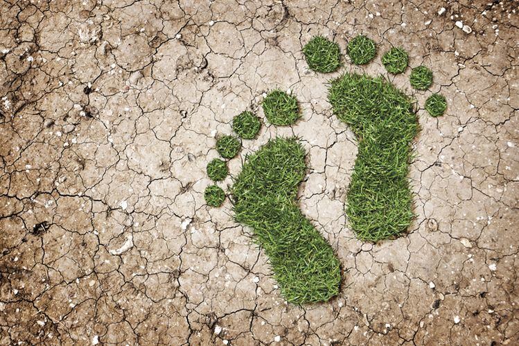 ‘Sustainability is probably on slide two or three of every customer presentation now’