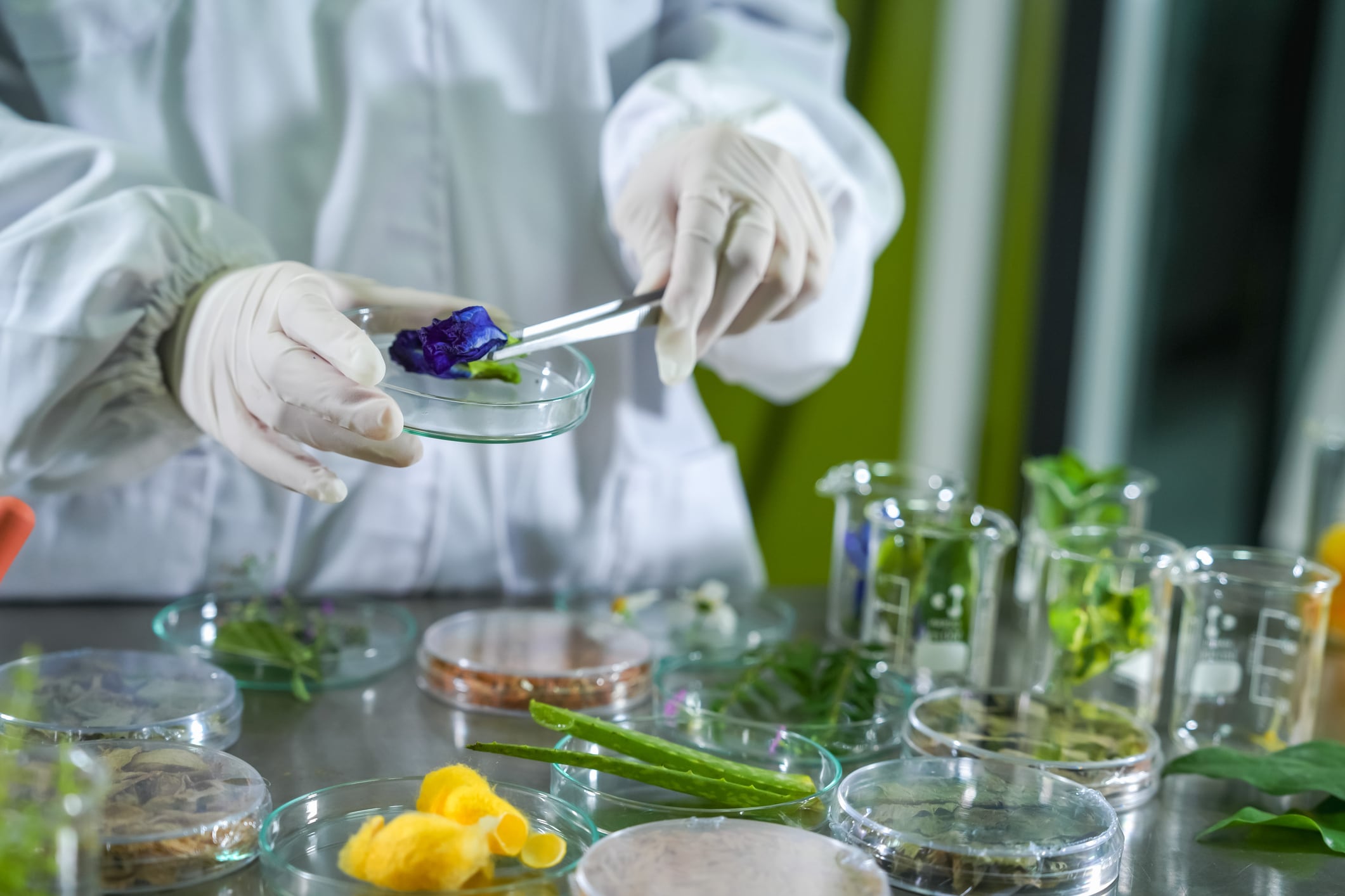 Food and beverage companies are moving beyond trend-chasing as emerging consumer needs create new opportunities for product innovation.