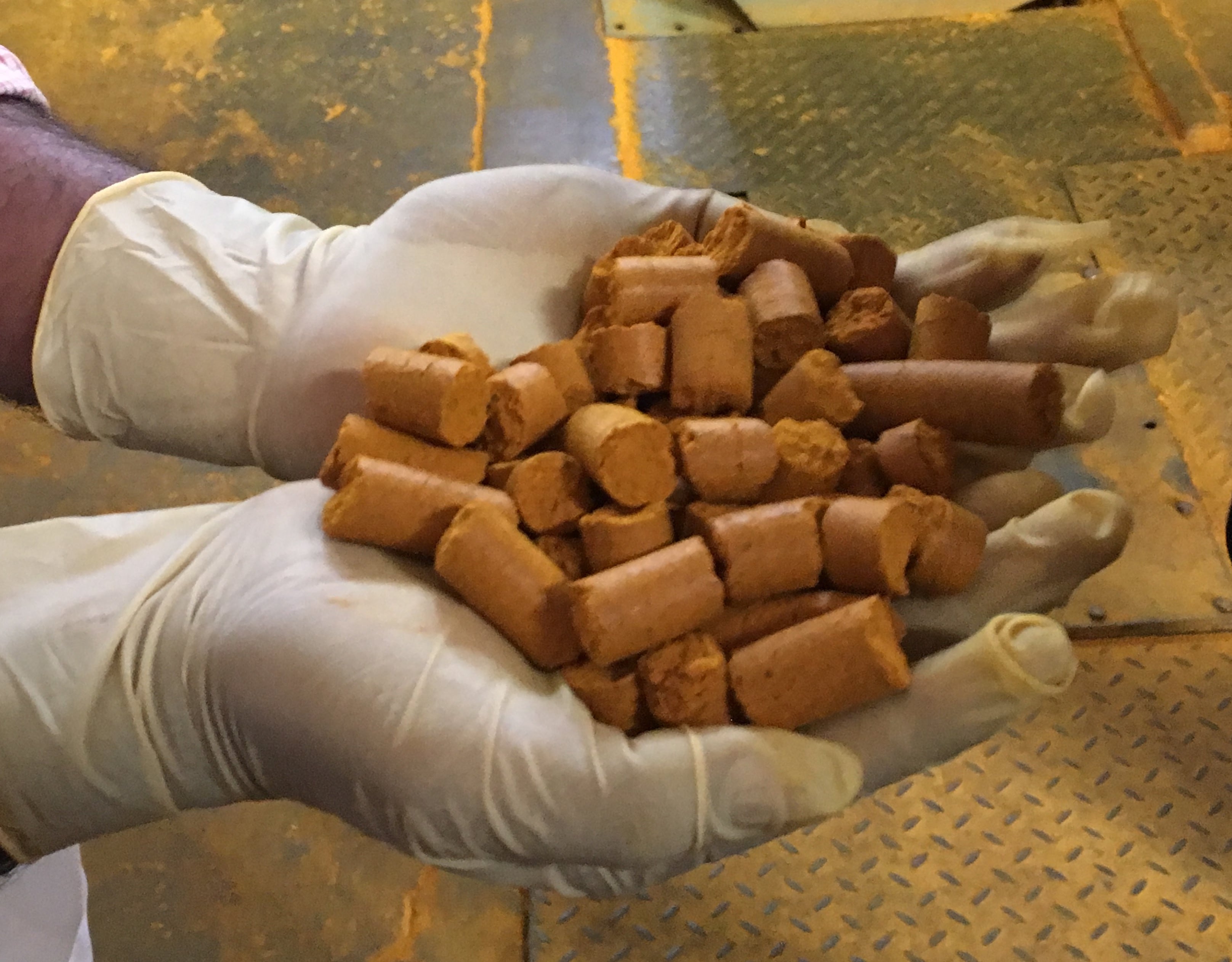 Once-sprightly-turmeric-market-showing-signs-of-maturity.jpg